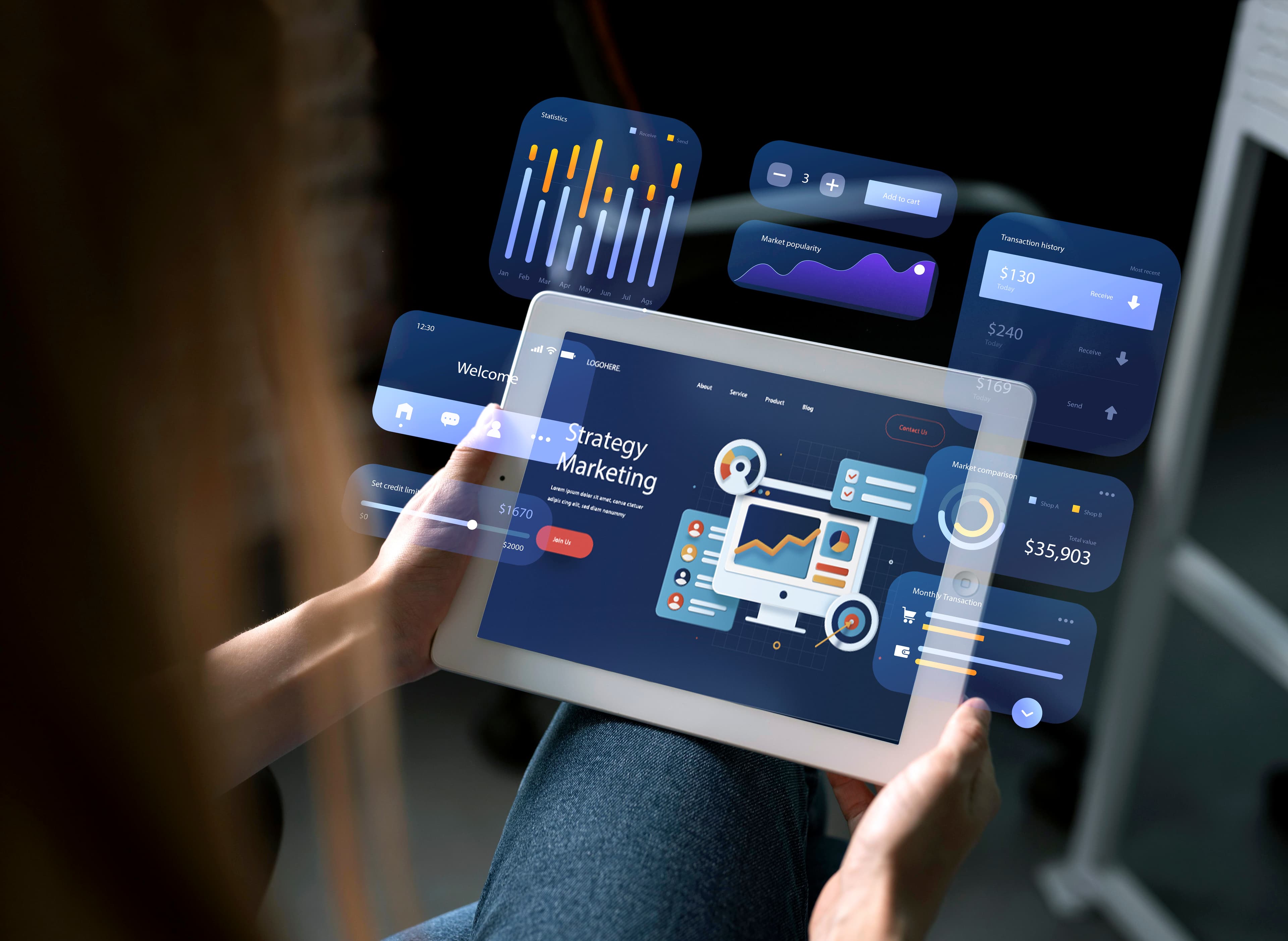 High-End Web Application Development